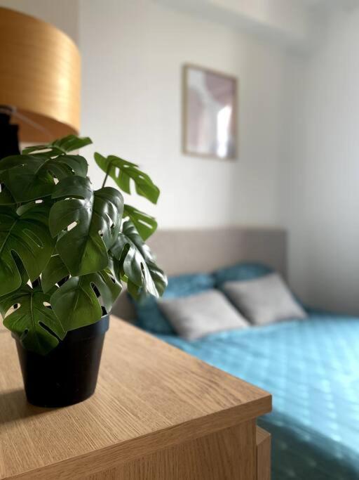 Appartement 2 Pieces A Quelques Minutes De Paris Le Pré-Saint-Gervais エクステリア 写真